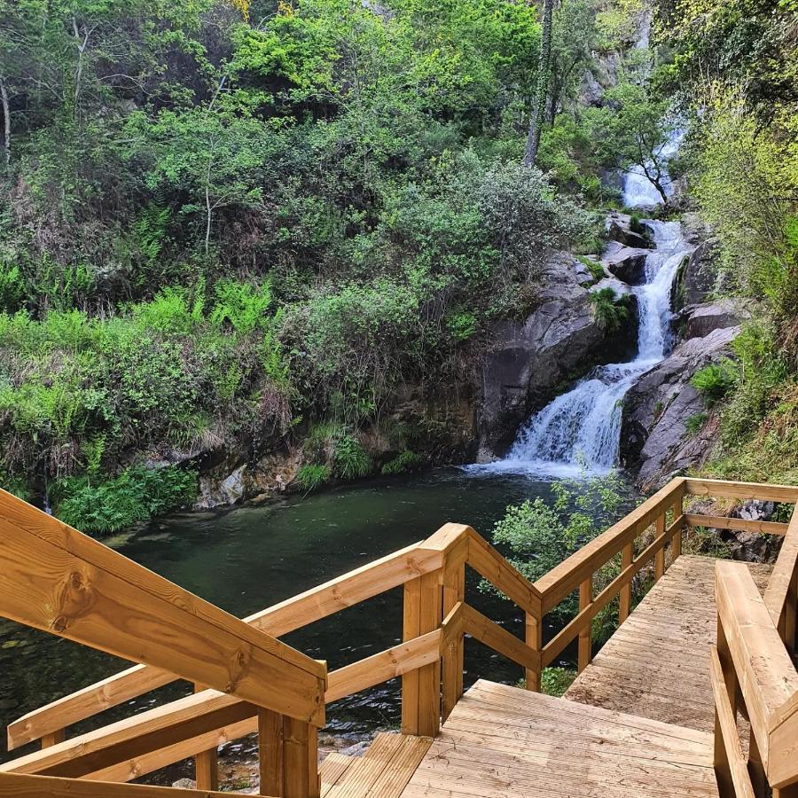 Rosinha Country House Vale de Cambra Εξωτερικό φωτογραφία